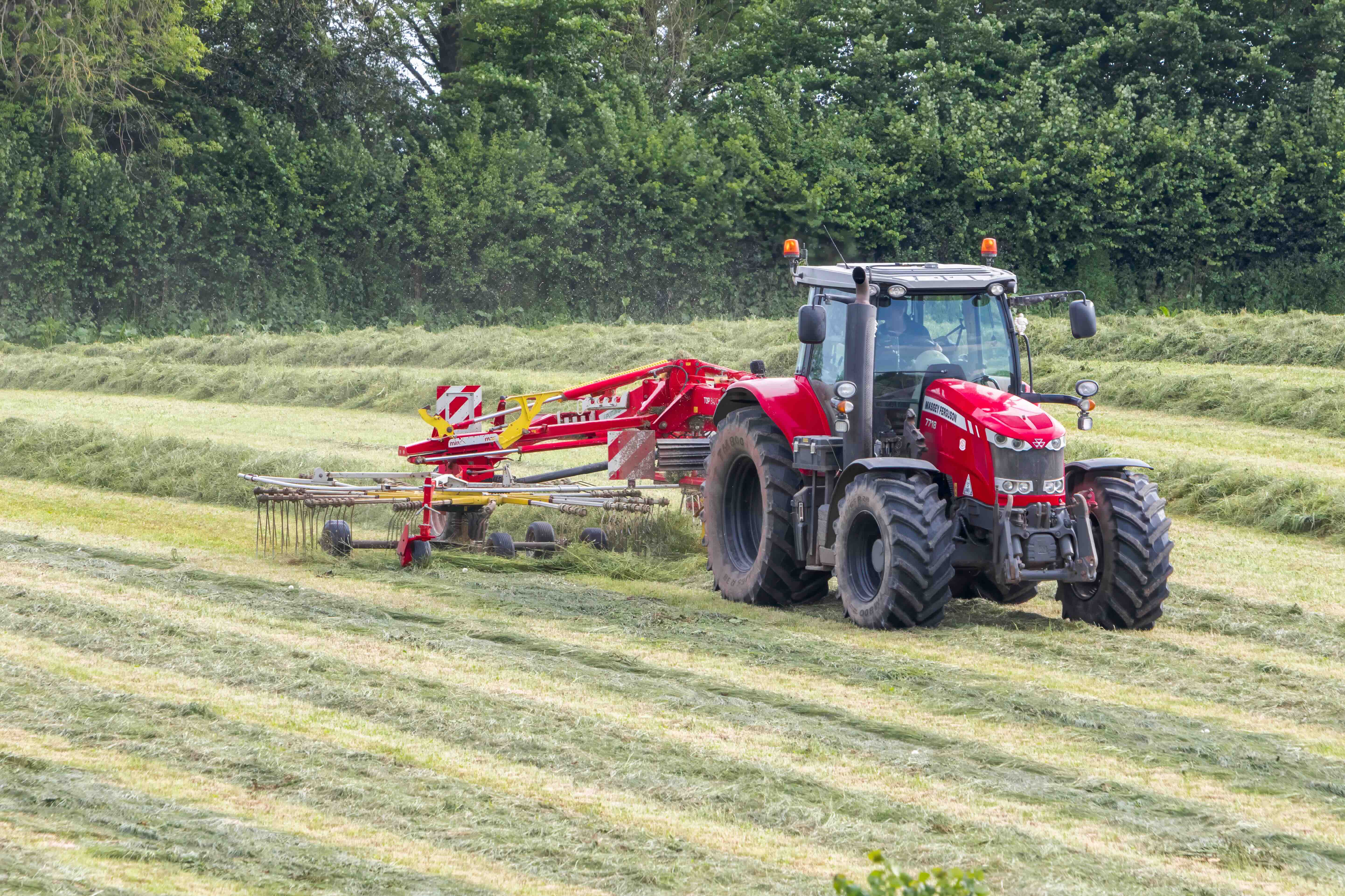 Red tractor pulling a red and yellow hay rake on a field with cut grass and a dense tree line in the background.