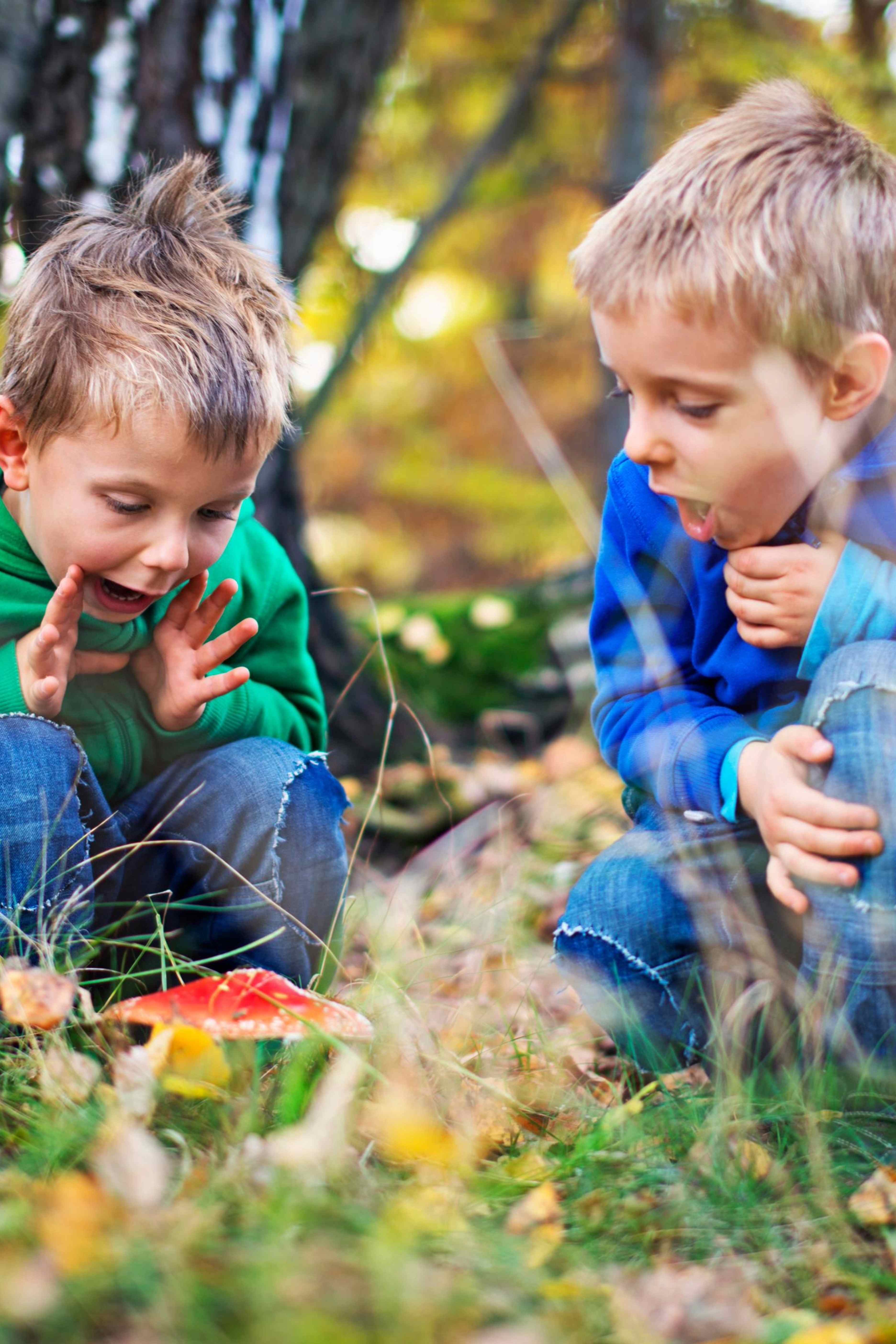 Two young boys, one in a green hoodie and the other in a blue hoodie, crouching on the grass looking excitedly at a red mushroom.
