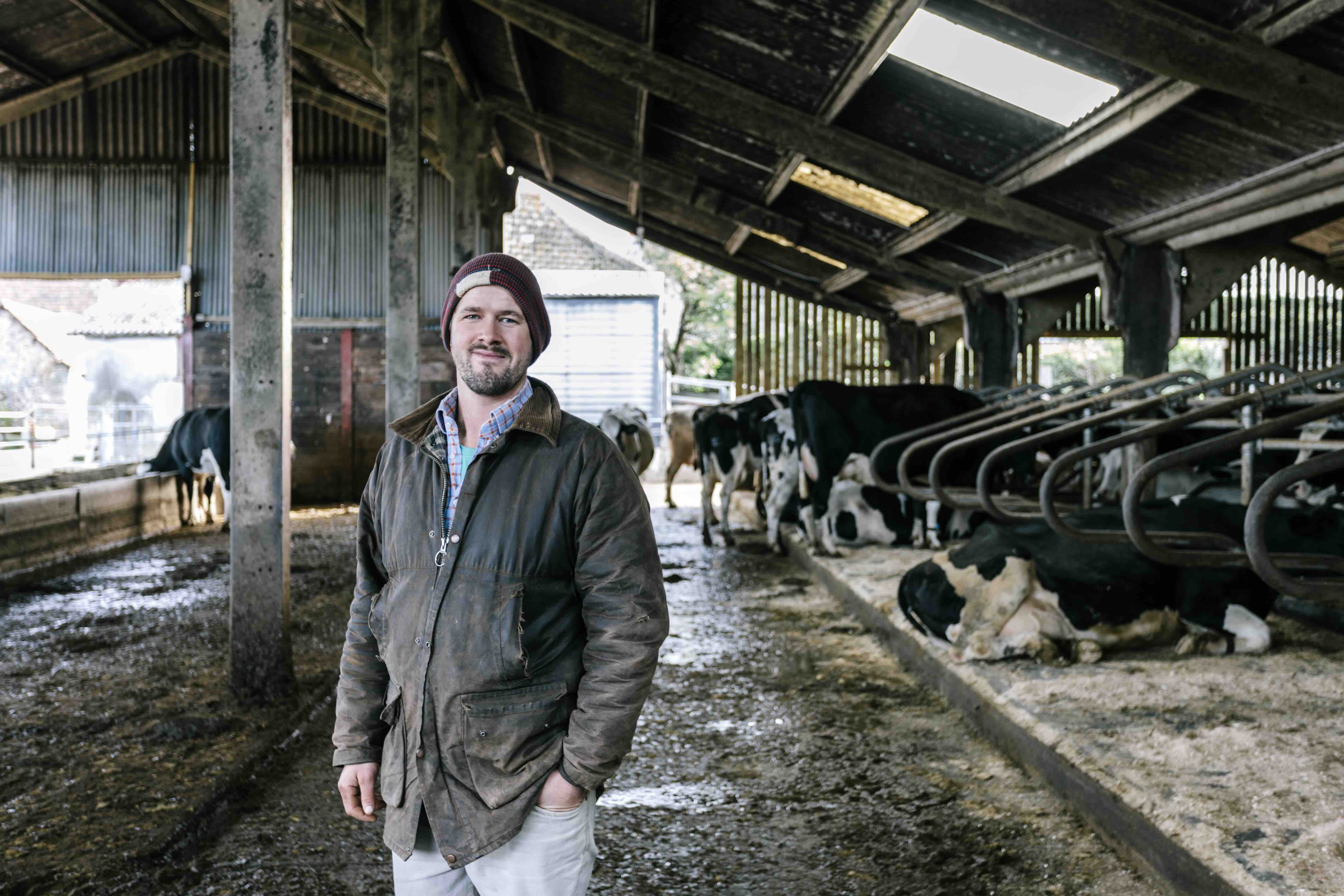 Smiling man in warm clothes standing inside a barn with several black and white cows resting and standing.