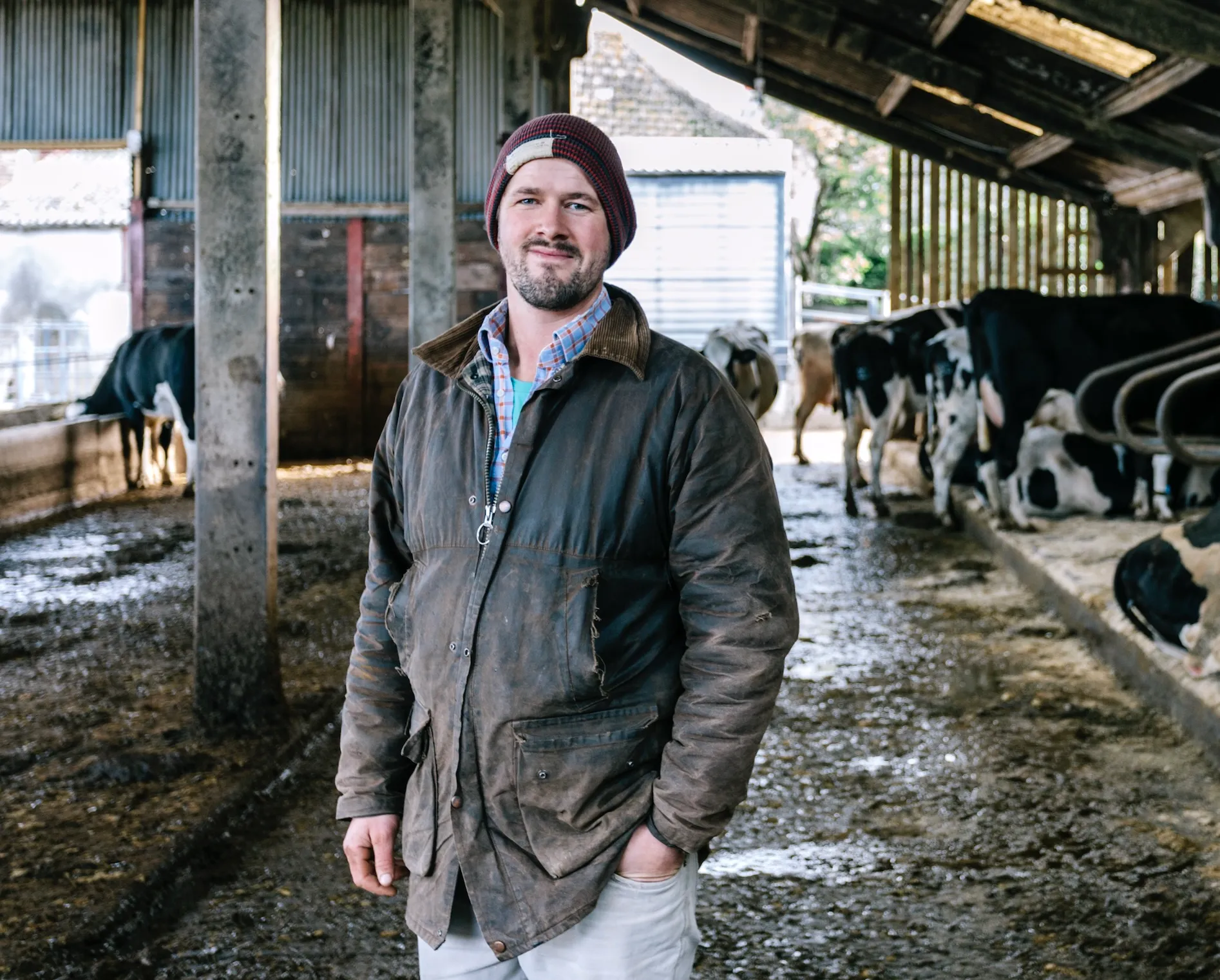 Smiling farmer wearing a beanie and a worn jacket standing inside a barn with cows in the background.