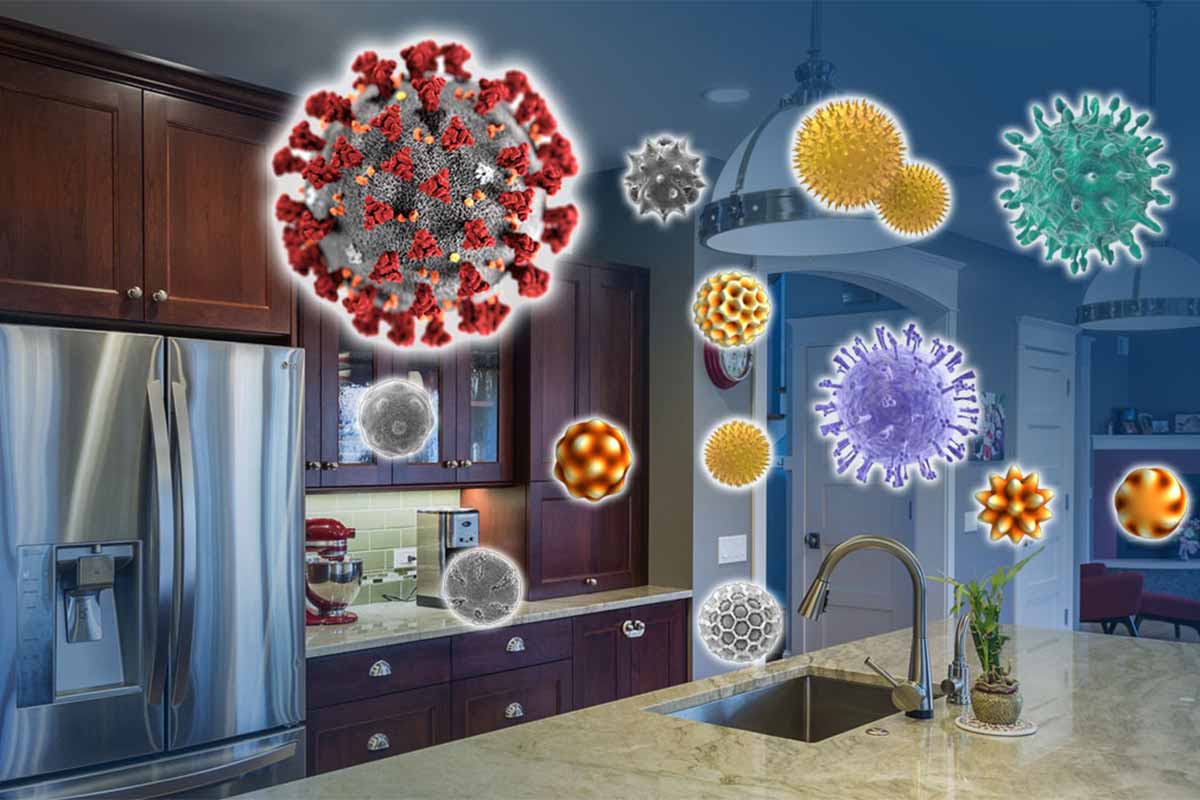 Particles in the air