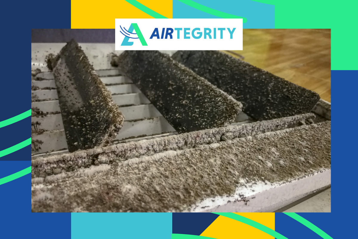 Mold Prevention and Remediation in HVAC Systems