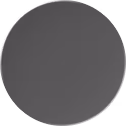 Dark gray circular disc with a subtle raised border and gradient shading.