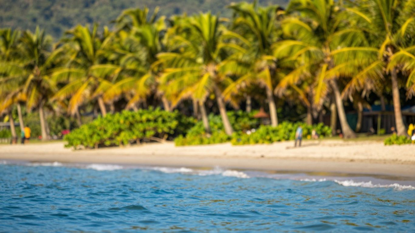 Brazilian beach with palm trees and ocean.