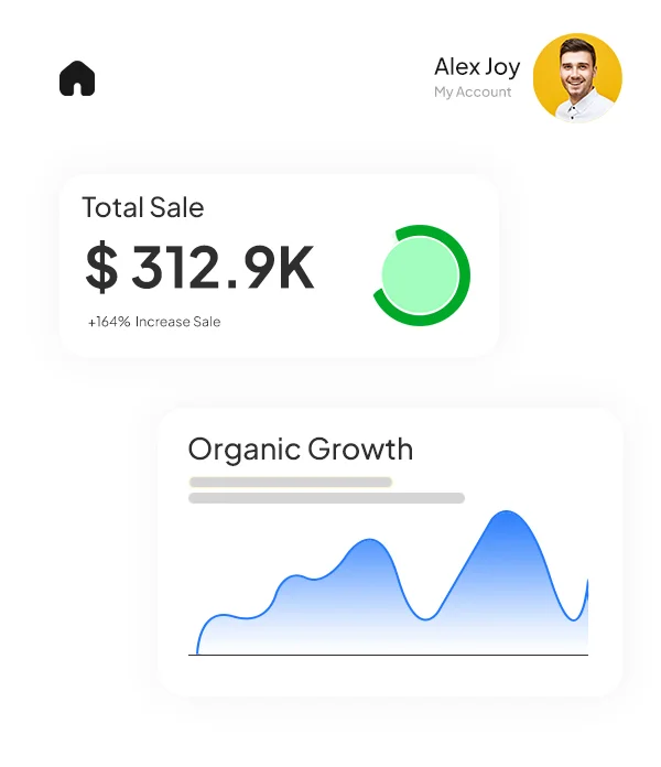 Dashboard showing total sales of $312.9K with 164% increase and a blue organic growth line graph.