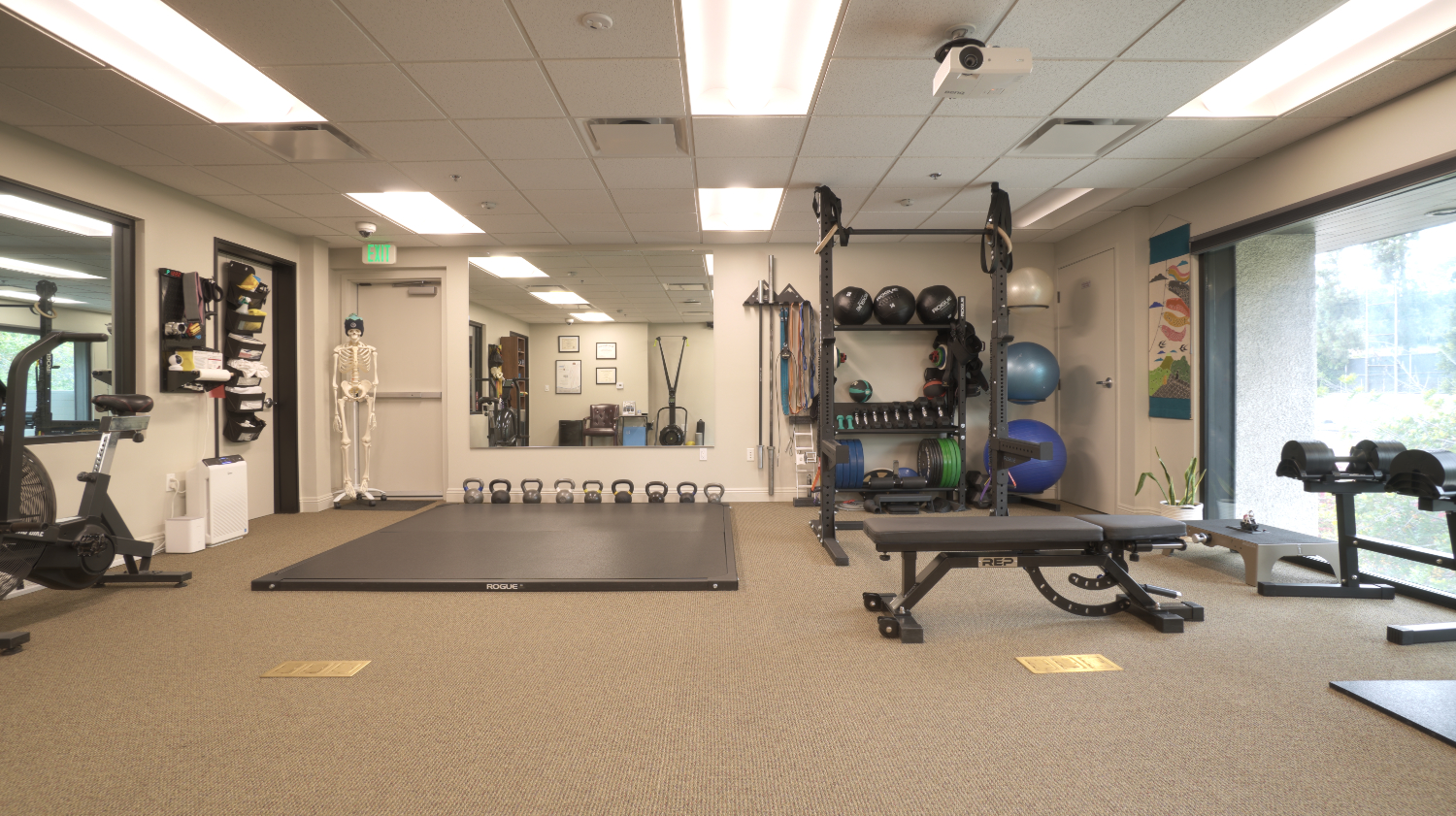 Bright gym room with exercise bike, weight bench, kettlebells, medicine balls, and a skeleton model near exit door.