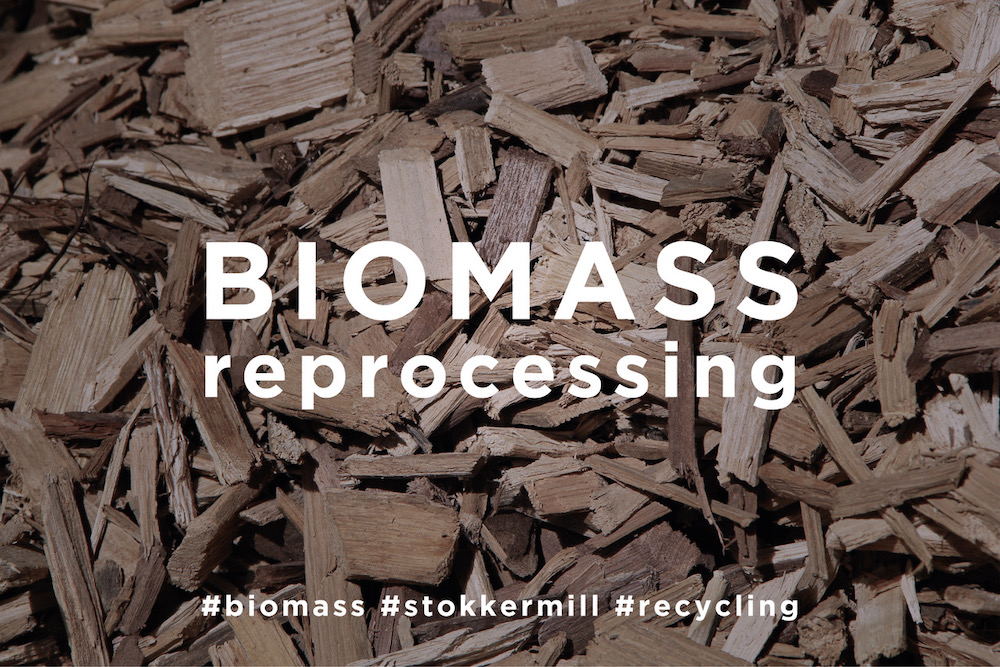 Biomass processing and recycling with utmost profitability