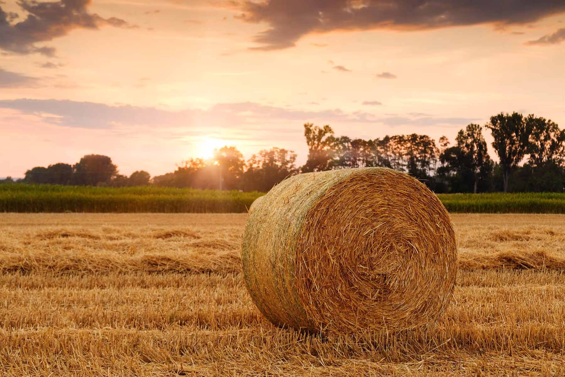 Bale of hay in a country setting