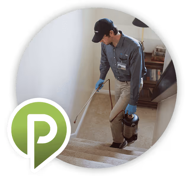 Pest control technician in uniform spraying insecticide on carpeted stairs inside a home.