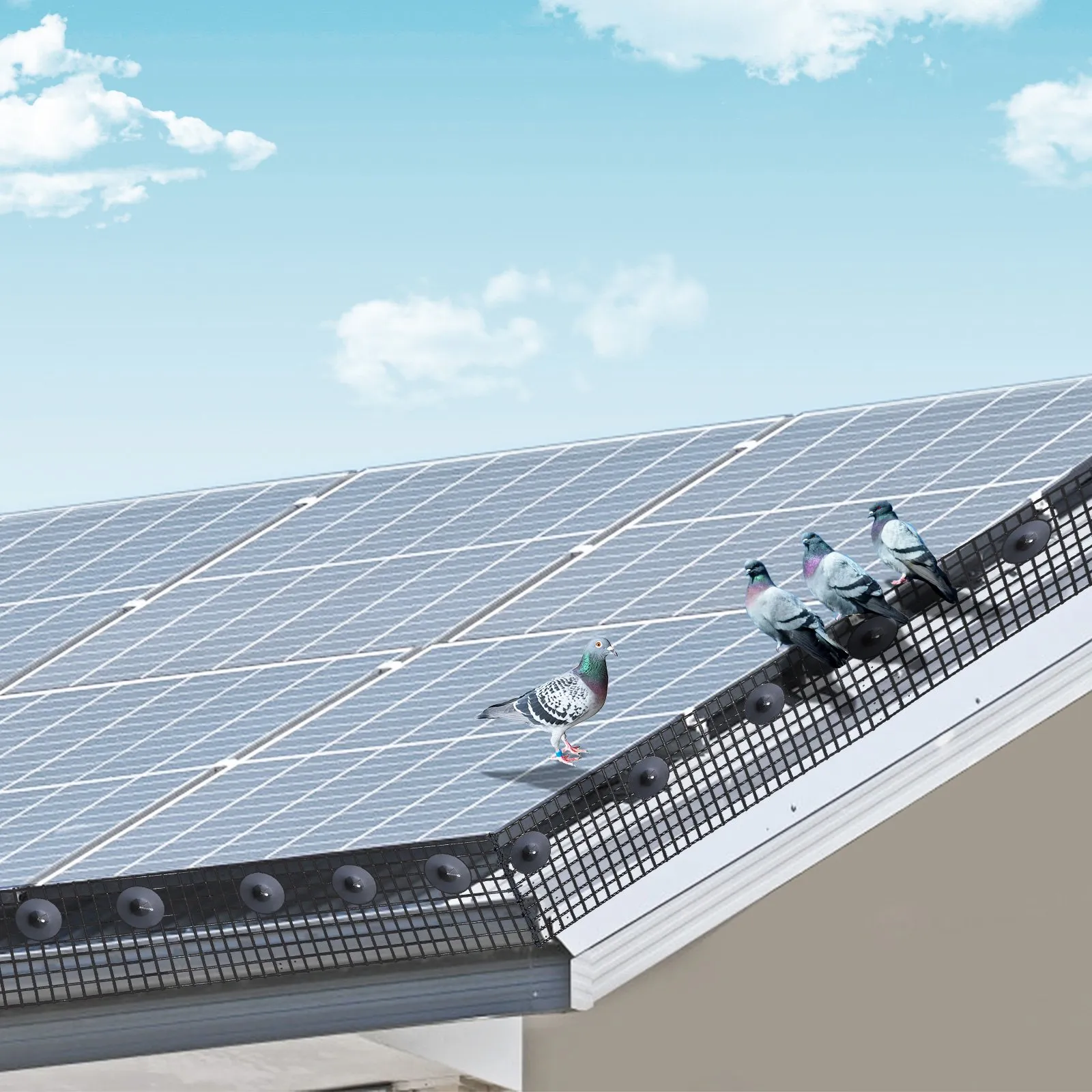 Four pigeons perched on a black mesh bird guard installed on the edge of solar panels on a rooftop under a blue sky with clouds.