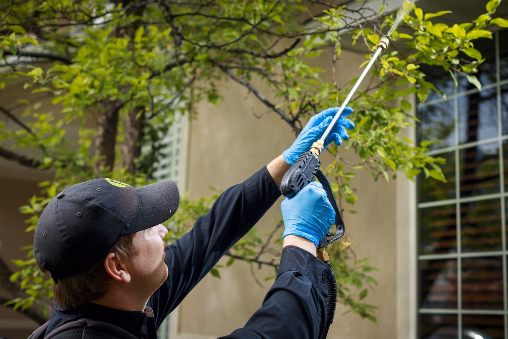 Pest Pro technician spot treating foliage around a window for spiders in Utah