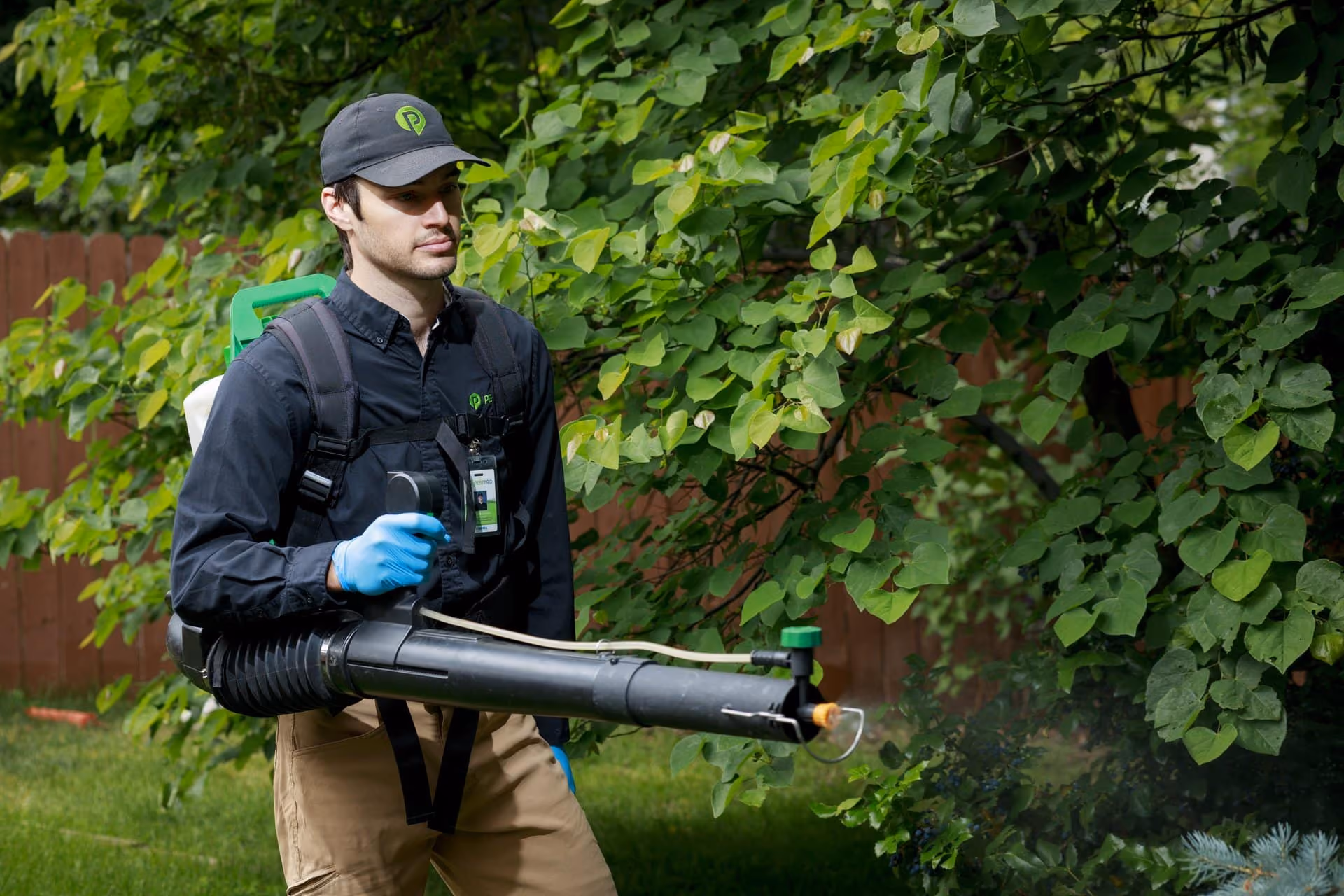 Pest Pro technician with a backpack sprayer treating trees in a Utah backyard