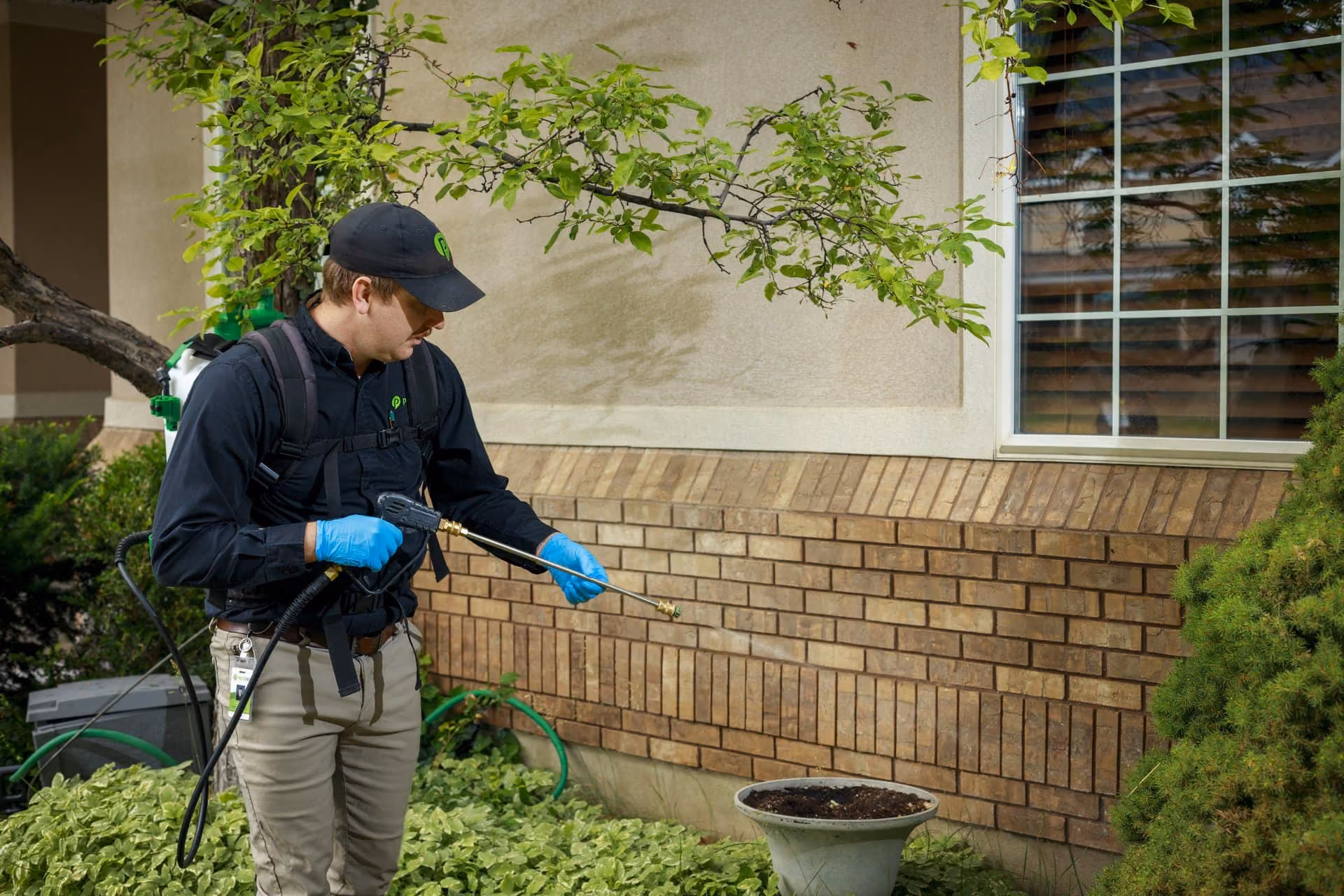 Technician spraying the foundation and shrubs of a Utah home for perimeter pest control