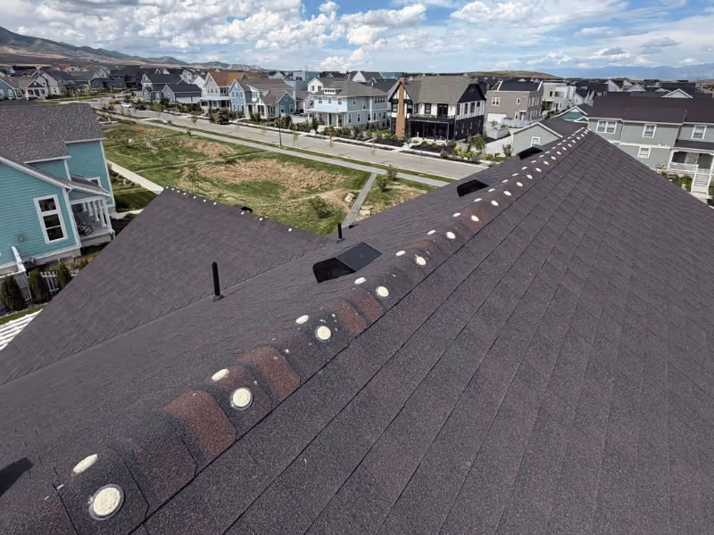 salt lake city home roof with optical bird gel discs installed