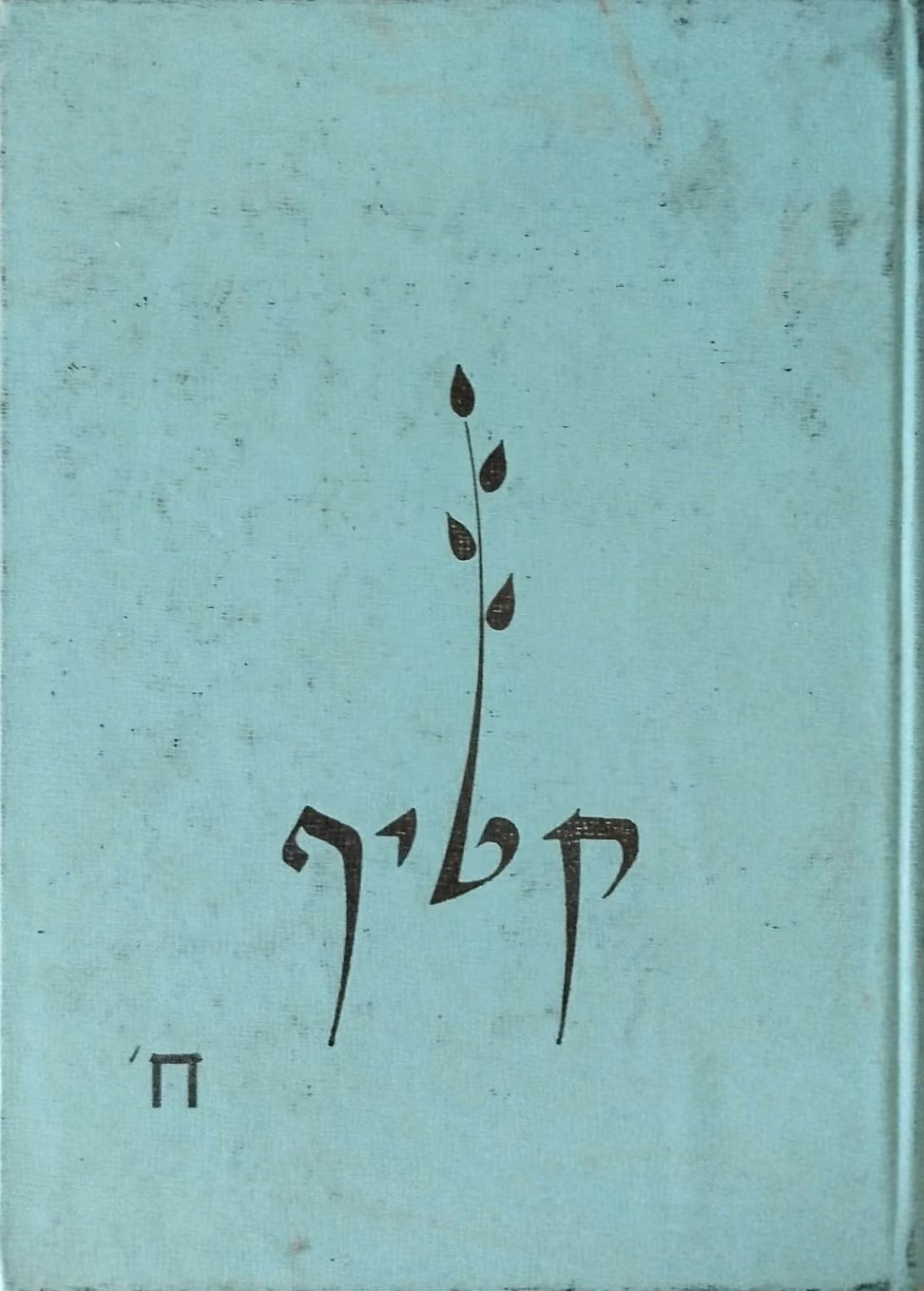 קטיף ח'