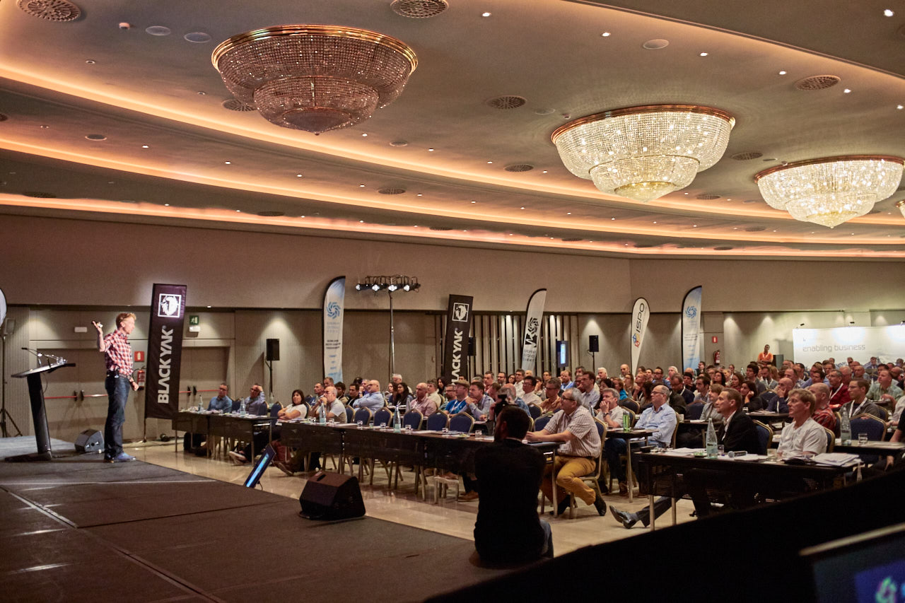 image of a concert crowd