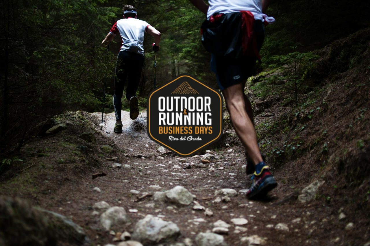 image of a concert crowd