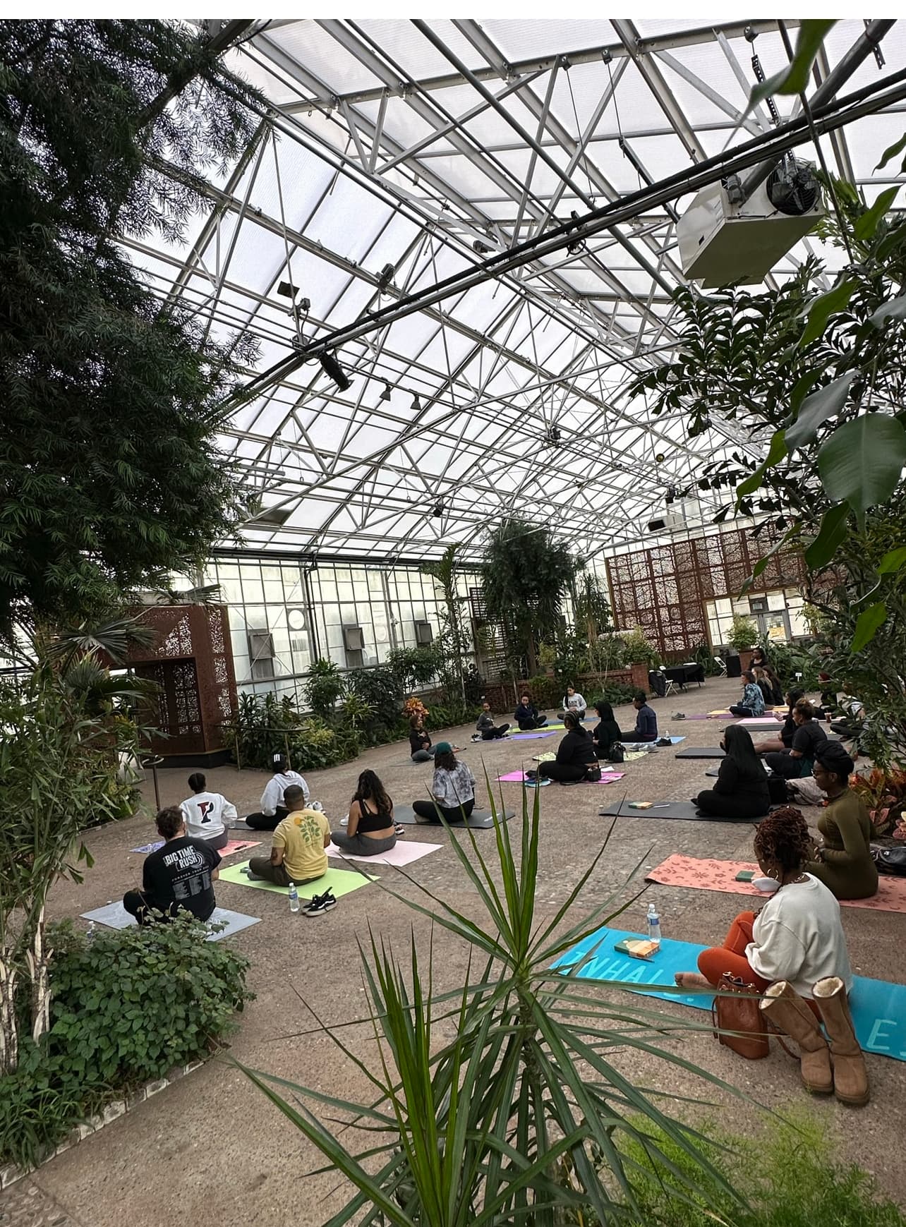 Group sitting on mats inside a greenhouse with glass roof and green plants around.