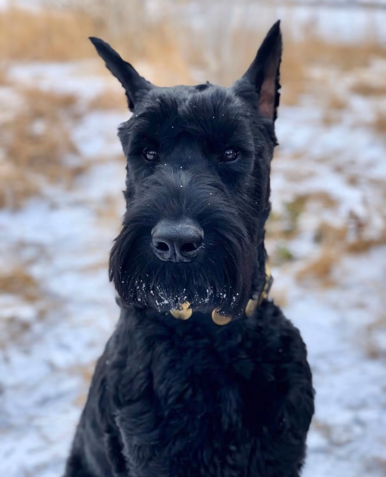 Smiling elderly couple lying on wooden dock by water, holding hands and embracing each other.