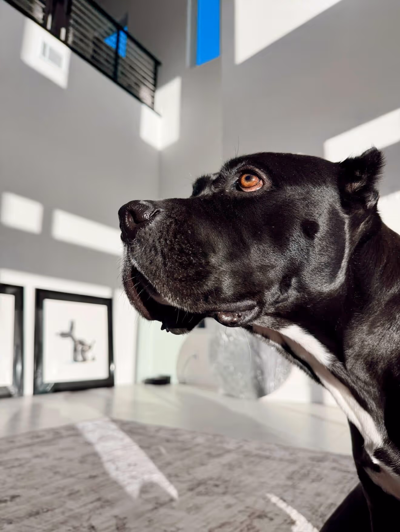 Elderly couple lying on a wooden dock by the water, smiling and holding each other lovingly.