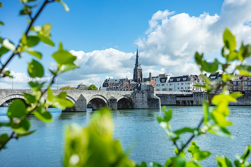 Stone arch bridge over a river with a town and church steeple in the background, framed by green leaves.