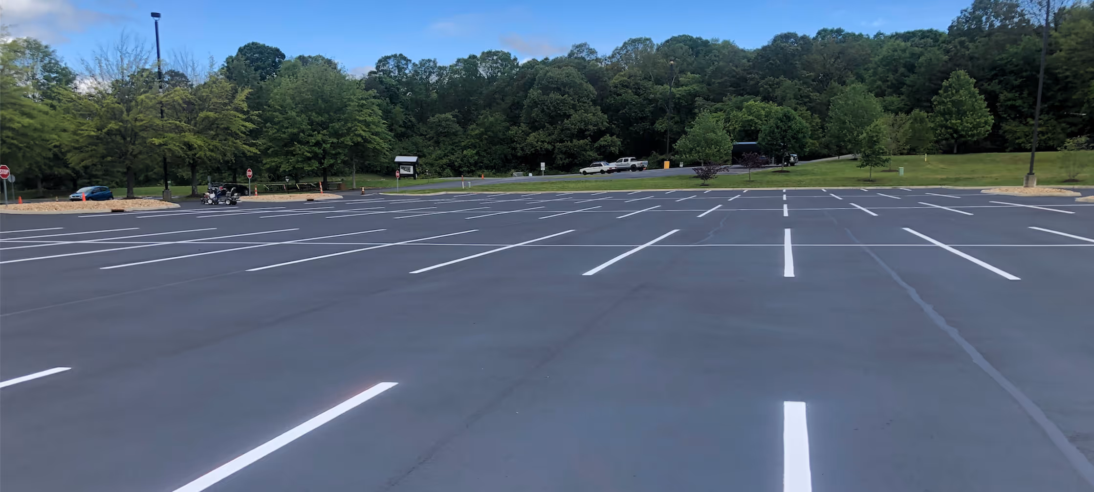 Empty parking lot with freshly painted white lines surrounded by green trees under a blue sky.
