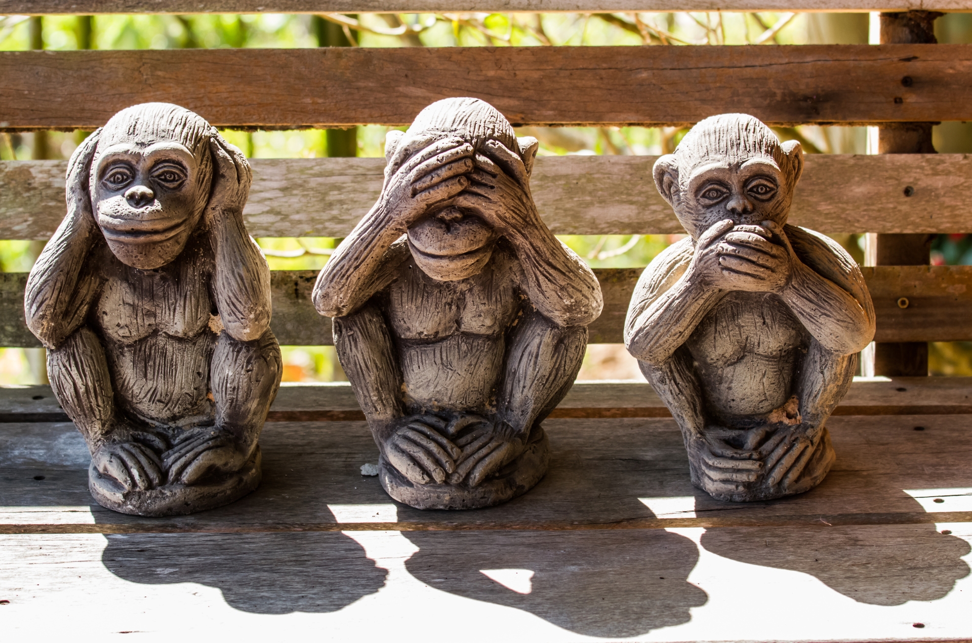Seriez-vous plus malin qu'un singe ?