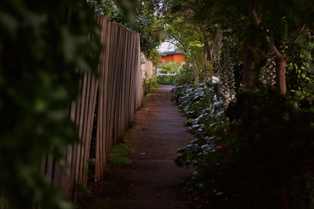 Still from The Yard
