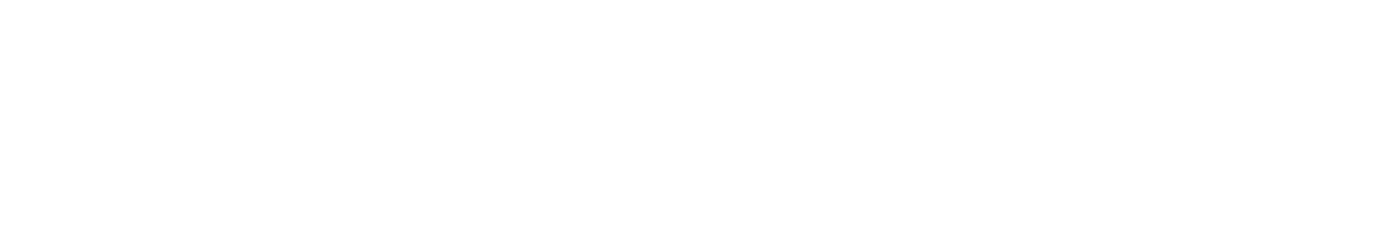 CEMEX company logo with two parallel diagonal stripes and the word CEMEX in bold.