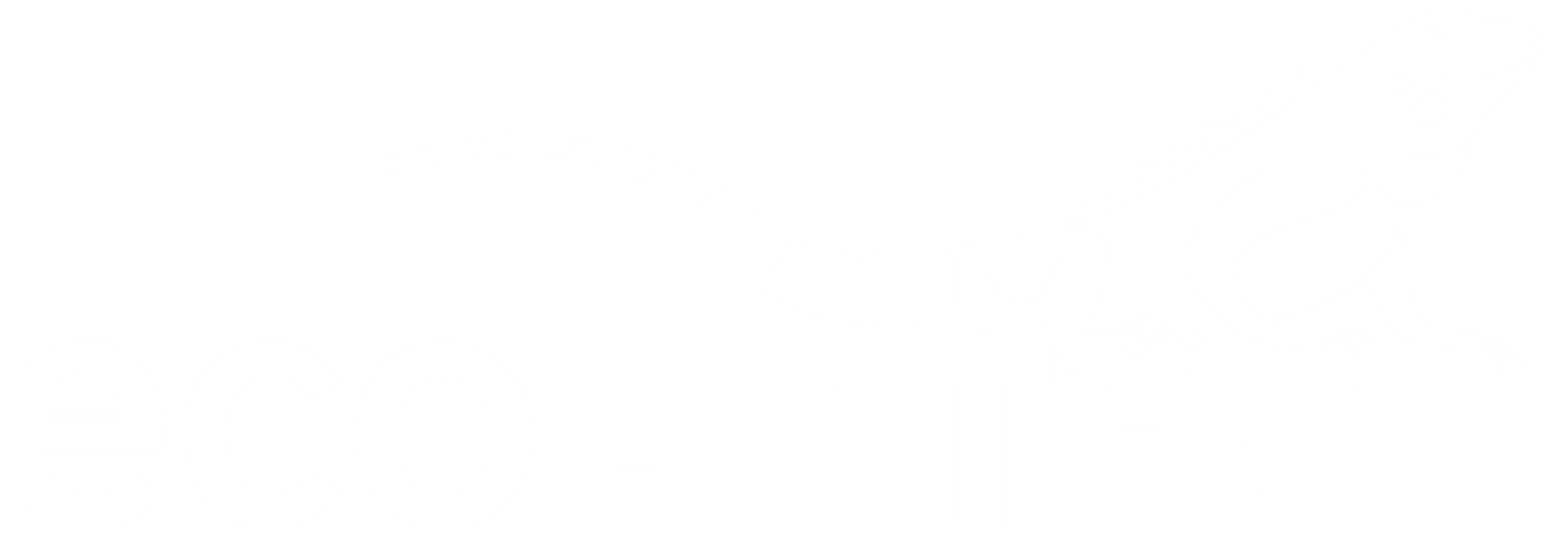 Ecopetrol logo with stylized iguana lizard above bold PETROL text.