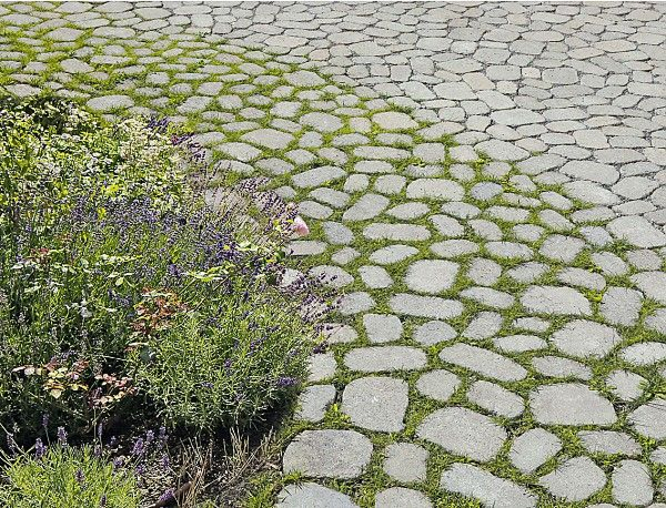 Close-up of irregular grey cobblestone garden paving with grass growing in the joints, edged by a mixed planting of lavender, white daisies, and wildflowers.