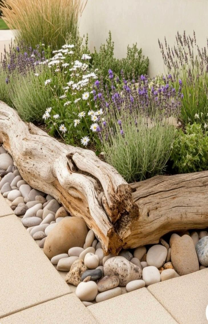 Garden bed edge featuring a weathered driftwood log as a natural border, with river rocks, lavender, white daisies, ornamental grasses, and other low-water perennials against a stucco wall.