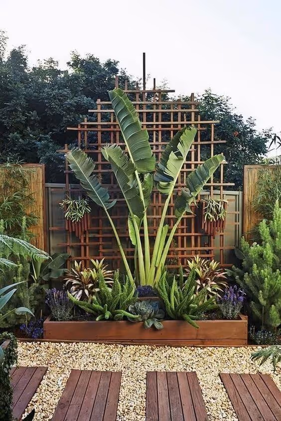 Tropical backyard feature with a raised timber planter bed showcasing a large bird of paradise, bromeliads, and succulents against a rustic wood lattice trellis panel, with gravel pathway and wood deck steps.