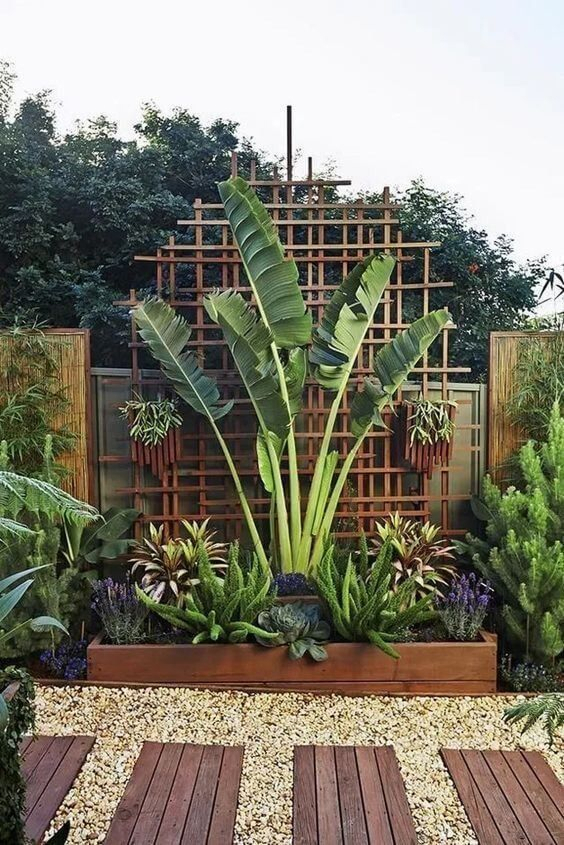 Tropical backyard feature with a raised timber planter bed showcasing a large bird of paradise, bromeliads, and succulents against a rustic wood lattice trellis panel, with gravel pathway and wood deck steps.