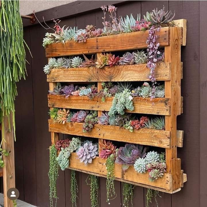 Vertical pallet garden mounted on a dark wood fence wall, densely planted with colorful succulent varieties in pink, purple, green, and red tones, with trailing stems cascading from lower rows.