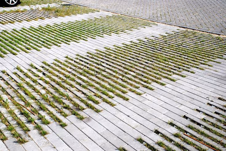 An overhead view of a permeable paving system with parallel gray concrete strips with grass growing in the gaps, used in a driveway or parking area adjacent to traditional brick pavers.