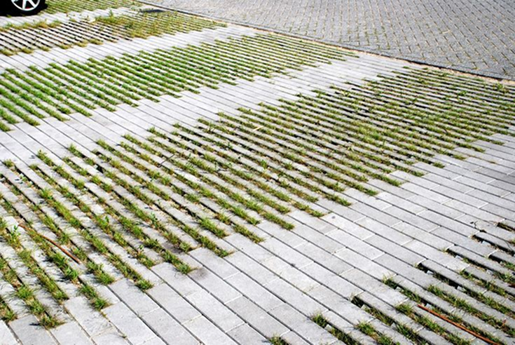 An overhead view of a permeable paving system with parallel gray concrete strips with grass growing in the gaps, used in a driveway or parking area adjacent to traditional brick pavers.