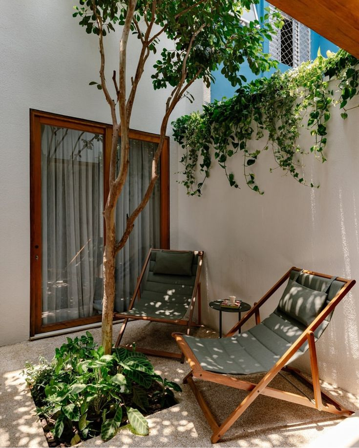 A compact minimalist courtyard with two wood-framed canvas sling lounge chairs, a small side table, a slender tree casting dappled shadows, potted philodendron, and climbing vines on a white stucco wall.