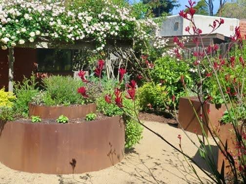 Root & Branch sustainable landscape design project