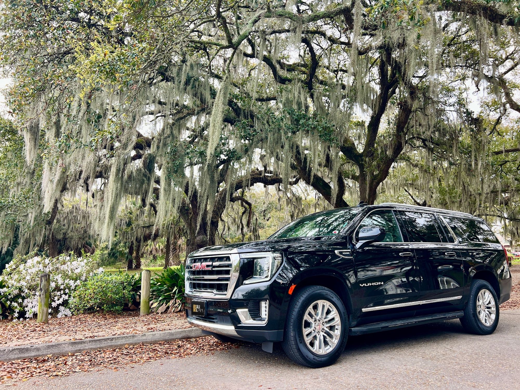 Black GMC Yukon XL executive SUV parked beneath Spanish moss in City Park, New Orleans