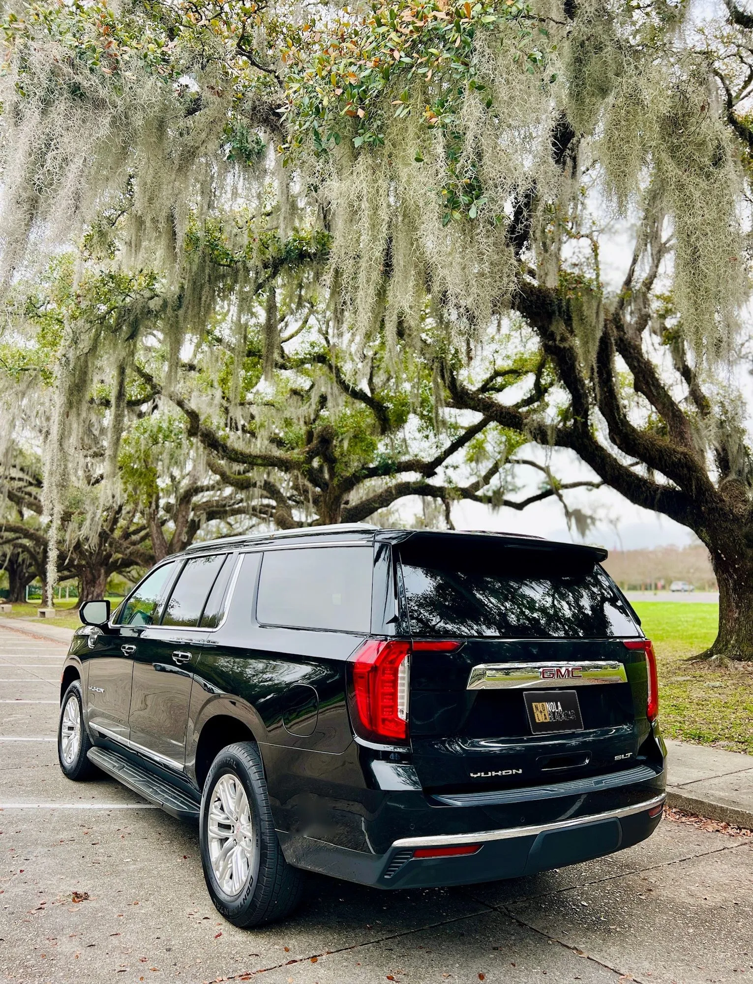 Rear view of a black SUV under live oaks in City Park, New Orleans