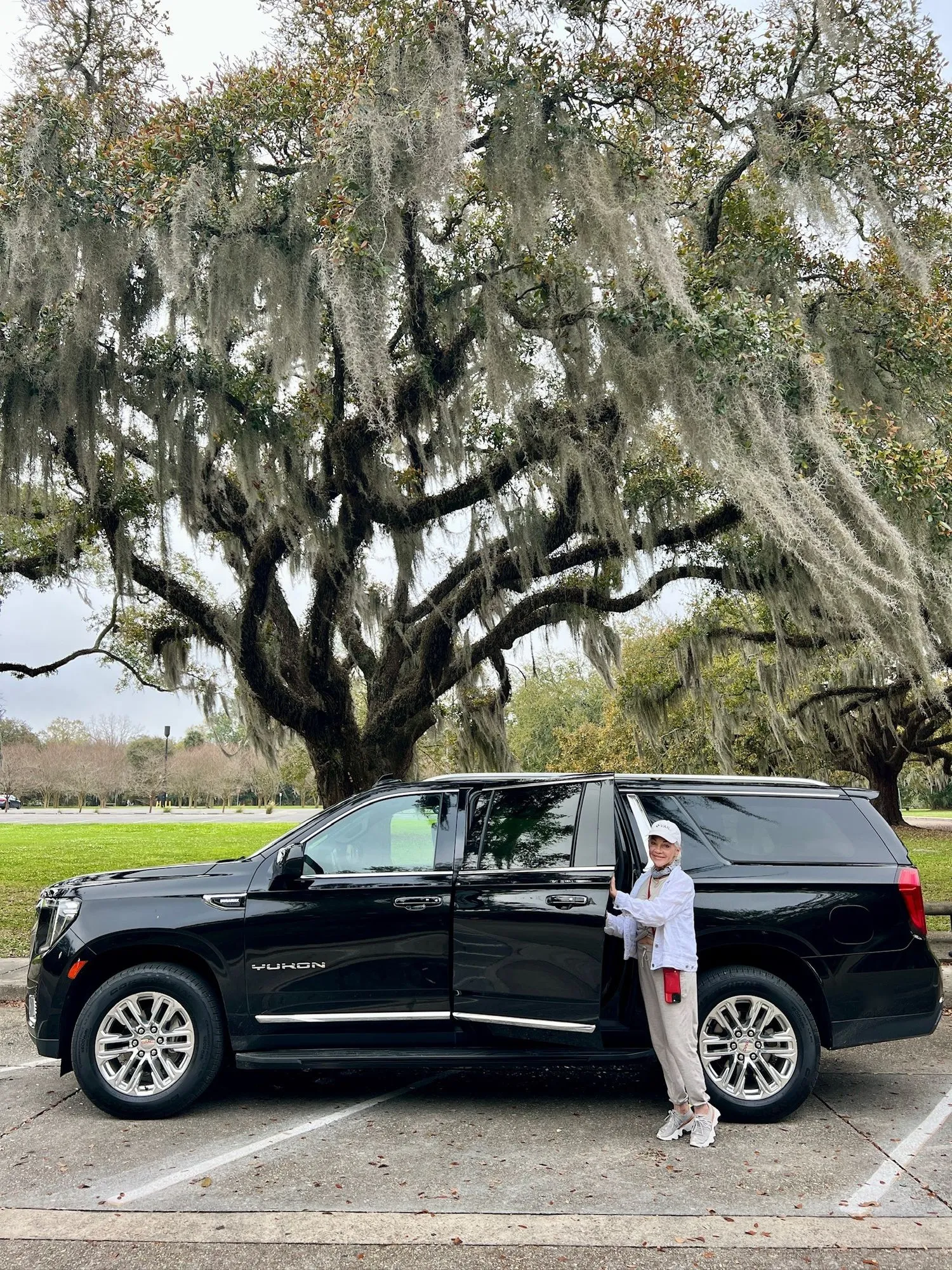 Private chauffeur service image