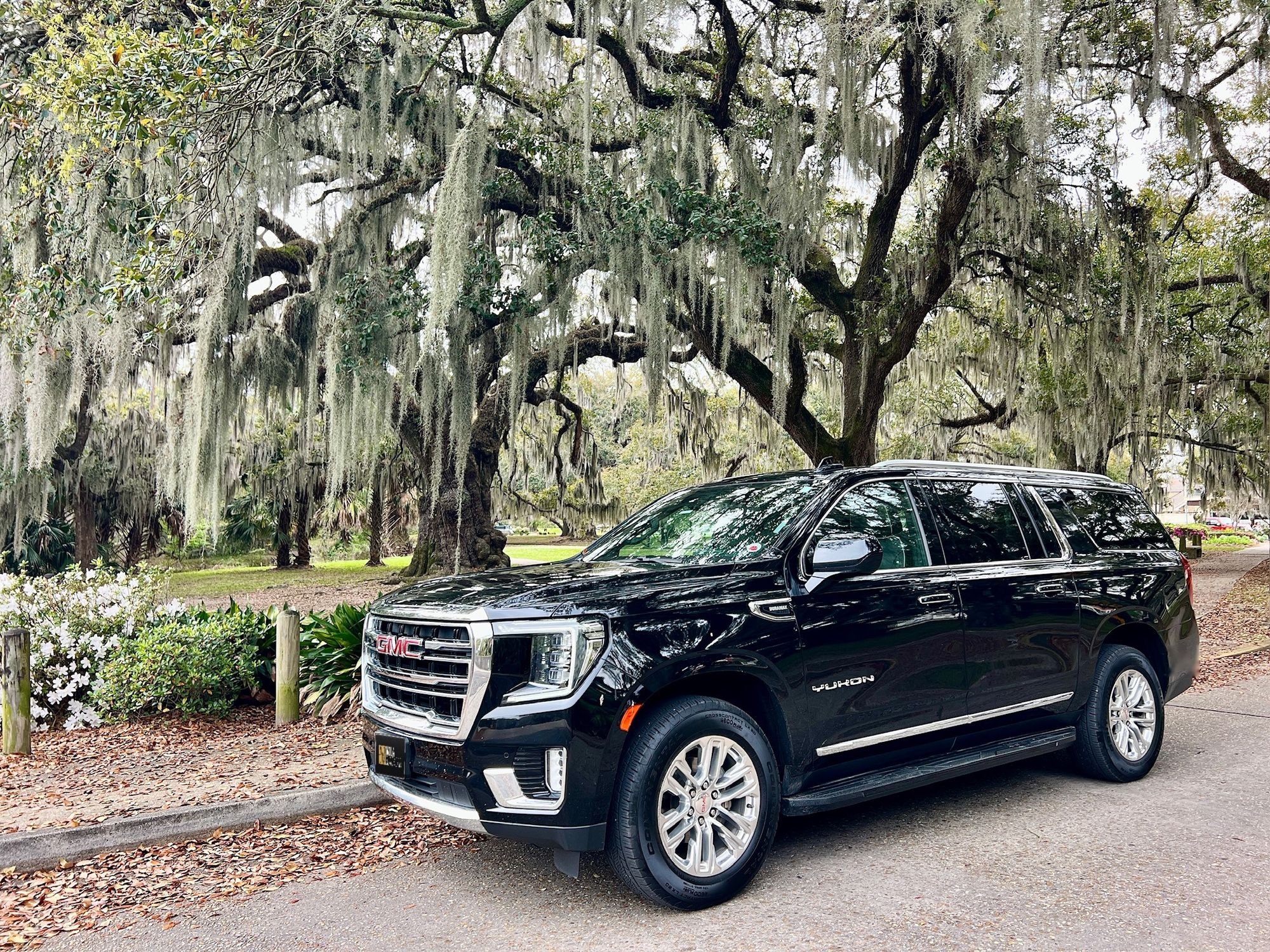 NOLA Black Car GMC Yukon XL under live oaks in City Park, New Orleans