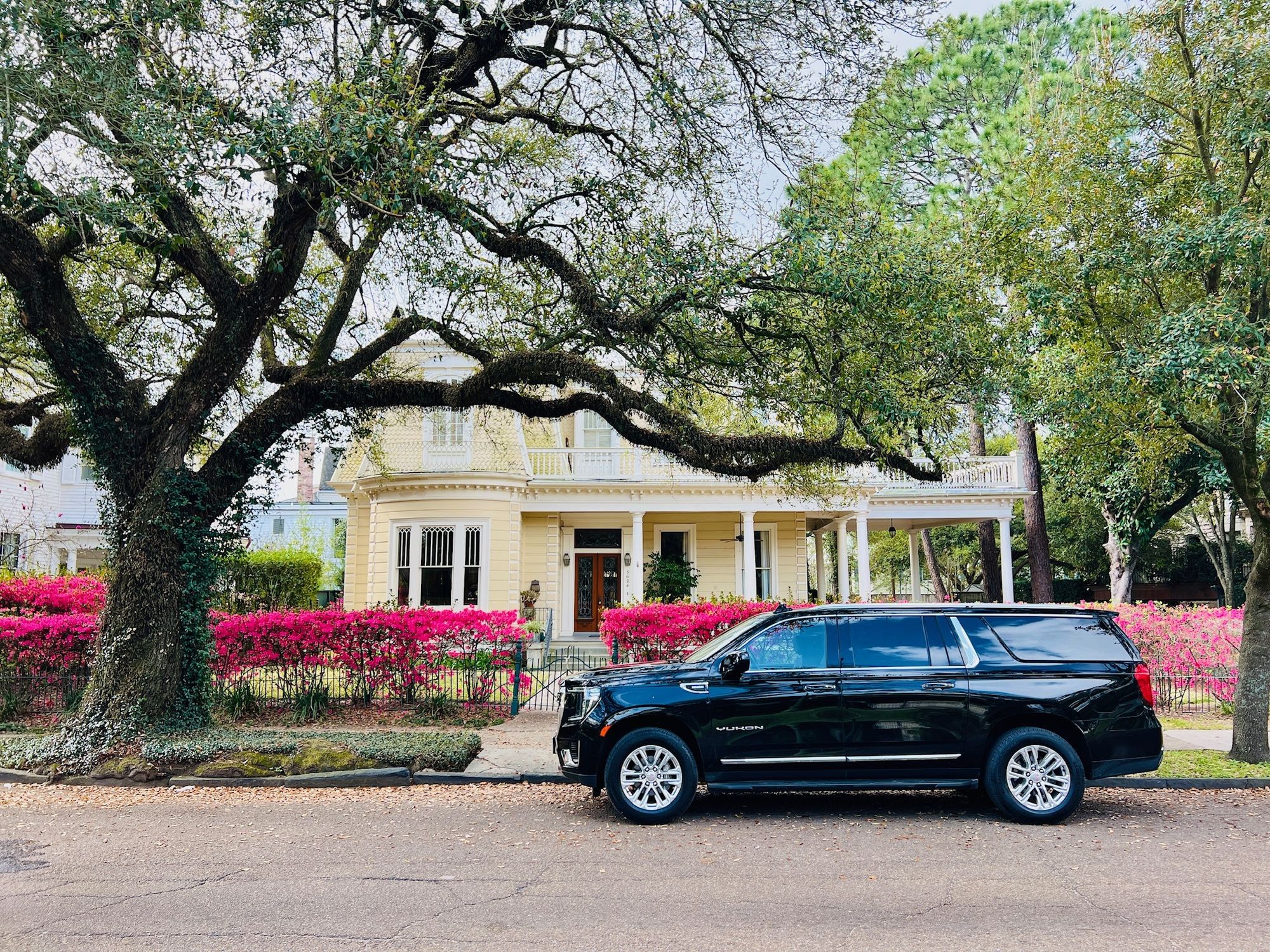 Black SUV beneath an oak tree with azaleas in Uptown New Orleans