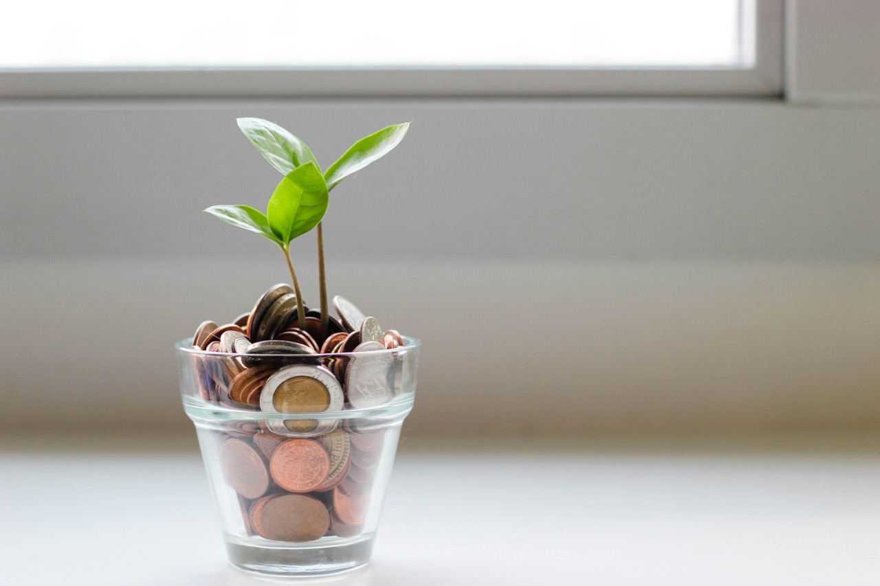 pot d'argent avec plante qui pousse dans ce pot. Illium l'application de l'amour pour les célibataires et les couples.