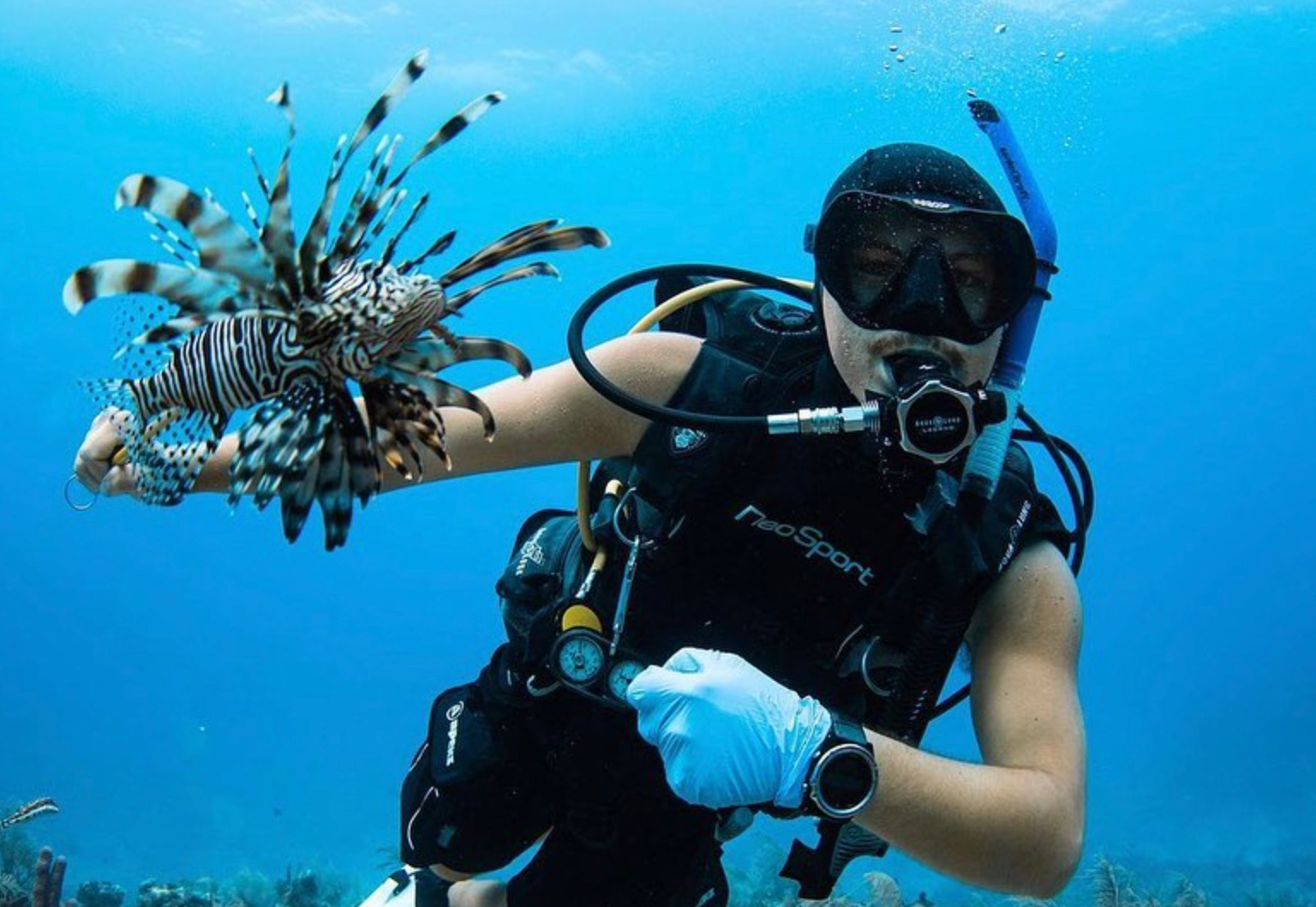 Scuba diver underwater holding a lionfish with blue ocean background.