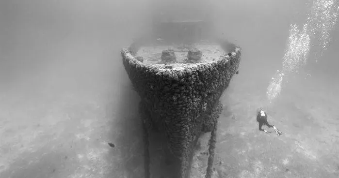 Scuba diver exploring a submerged shipwreck covered in marine growth underwater.