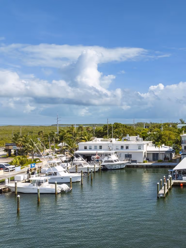 Marina with several docked white boats and a white building surrounded by greenery under a blue sky with scattered clouds.