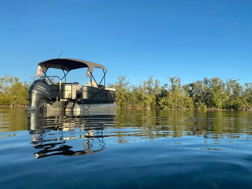 Pontoon boat with a canopy floating on calm water near a line of green trees under a clear blue sky.