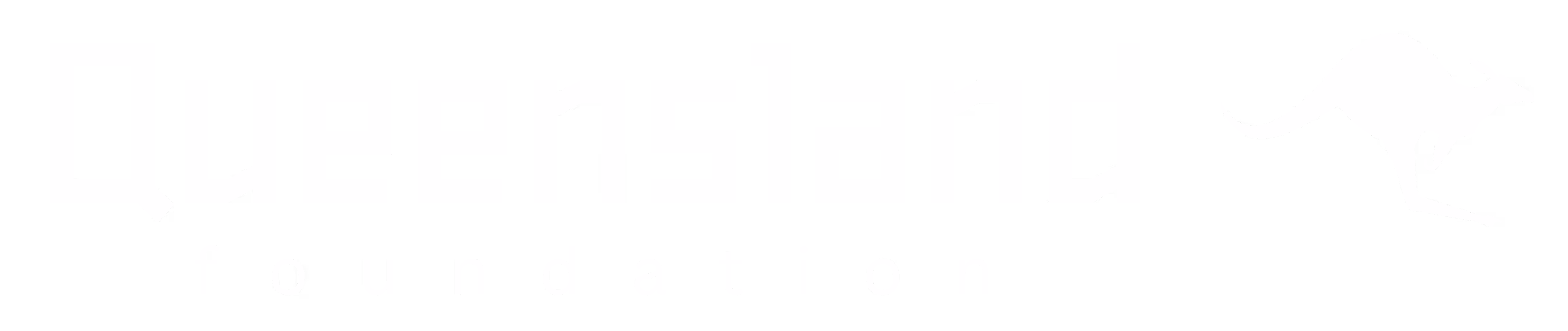 Queensland Foundation